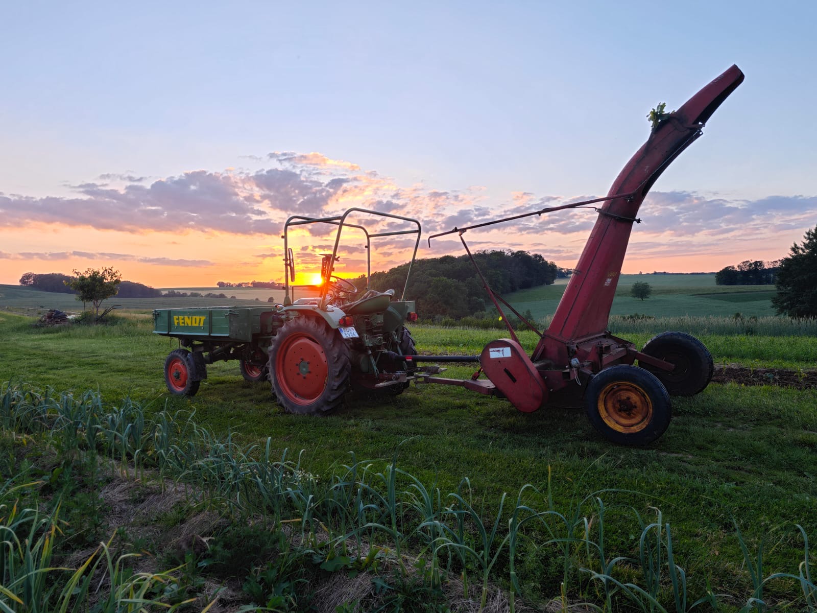 Traktor und Feldhäcksler bei Sonnenuntergang